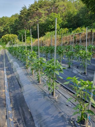 주*희님의 자유주제 · 자유게시판 작성글 사진