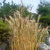 팜모닝 자유주제·자유게시판 게시글 이미지