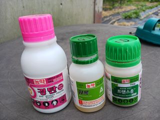 조정분(사랑이엄마)님의 농부님! 어떤 농약 쓰세요? · 참여 작성글 사진