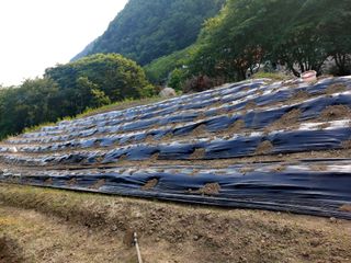 정혜자님의 콩 · 자유게시판 작성글 사진