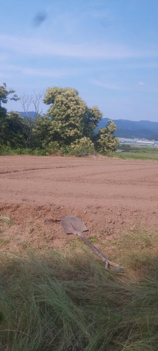 김대업님의 자유주제 · 자유게시판 작성글 사진