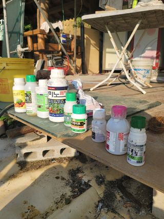 왕초보농부 이금녀님의 농부님! 어떤 농약 쓰세요? · 참여 작성글 사진