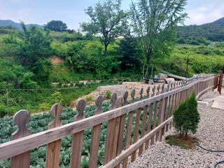 손윤영/수채화농원님의 자유주제 · 자유게시판 작성글 사진