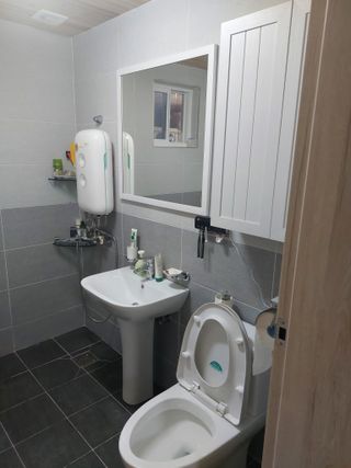 손윤영/수채화농원님의 자유주제 · 자유게시판 작성글 사진