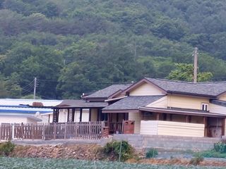 손윤영/수채화농원님의 자유주제 · 자유게시판 작성글 사진