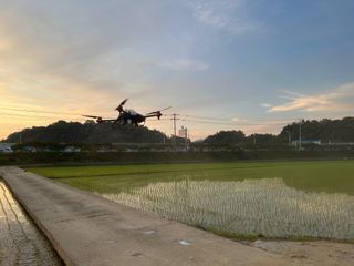 태평양드론님의 벼 · 자유게시판 작성글 사진