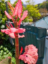 팜모닝 자유주제·자유게시판 게시글 이미지