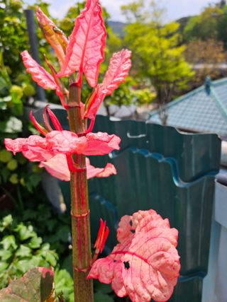 김용석님의 자유주제 · 자유게시판 작성글 사진