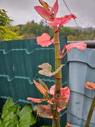 김용석님의 자유주제 · 자유게시판 작성글 사진