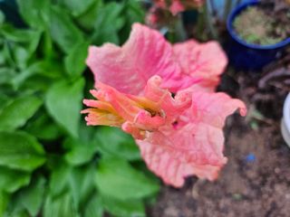 김용석님의 자유주제 · 자유게시판 작성글 사진