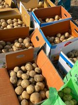 팜모닝 감자·자유게시판 게시글 이미지