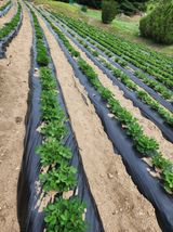 팜모닝 자유주제·자유게시판 게시글 이미지