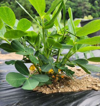 진일환님의 자유주제 · 자유게시판 작성글 사진