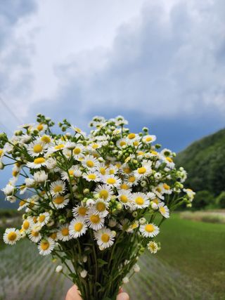 진일환님의 자유주제 · 자유게시판 작성글 사진