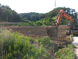 이성수님의 콩 · 자유게시판 작성글 사진