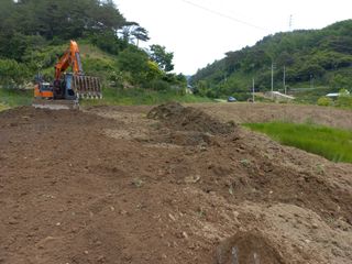 이성수님의 콩 · 자유게시판 작성글 사진