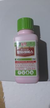 팜모닝 농부님! 어떤 농약 쓰세요?·참여 게시글 이미지