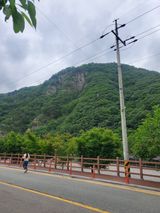 팜모닝 자유주제·자유게시판 게시글 이미지