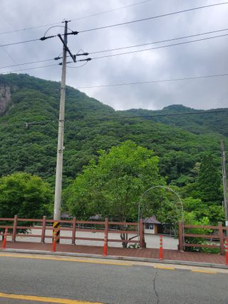 서정훈 님의 자유주제 · 자유게시판 작성글 사진