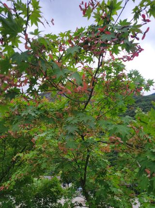 서정훈 님의 자유주제 · 자유게시판 작성글 사진