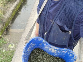 김영준님의 벼 · 자유게시판 작성글 사진