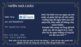 공심채님의 작성글 사진