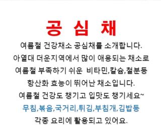 고북면공심채 농인님의 작성글 사진