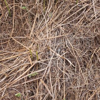 이경숙님의 기타작물 · 자유게시판 작성글 사진