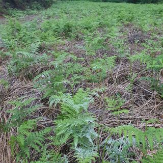 이경숙님의 기타작물 · 자유게시판 작성글 사진