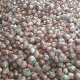 팜모닝 · 게시글 이미지