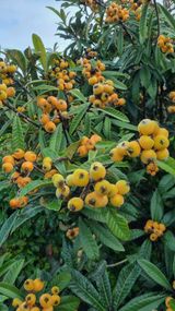 팜모닝 우리동네·동네수다 게시글 이미지