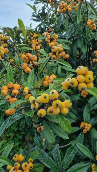 알 수 없음님의 우리동네 · 동네수다 작성글 사진