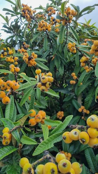 알 수 없음님의 우리동네 · 동네수다 작성글 사진