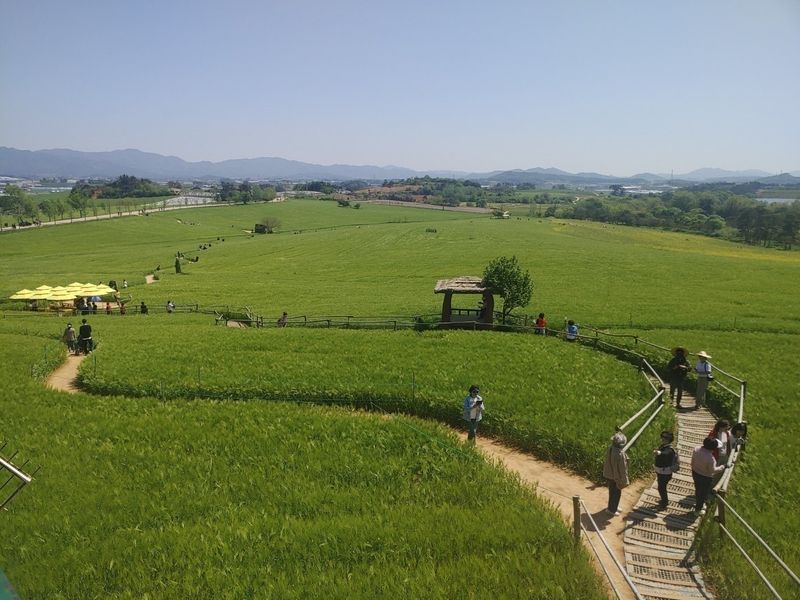 이현상님의 장터 판매 상품 [생 복분자즙 75포] 첨부 사진