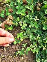 팜모닝 자유주제·자유게시판 게시글 이미지