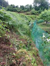 팜모닝 자유주제·자유게시판 게시글 이미지