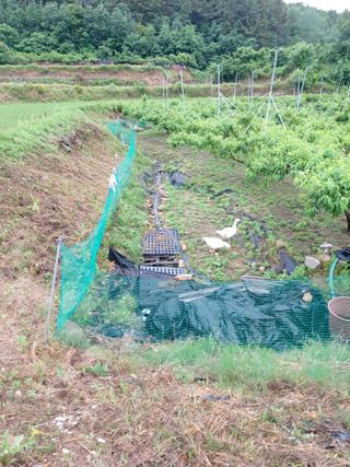 ahnda님의 자유주제 · 자유게시판 작성글 사진