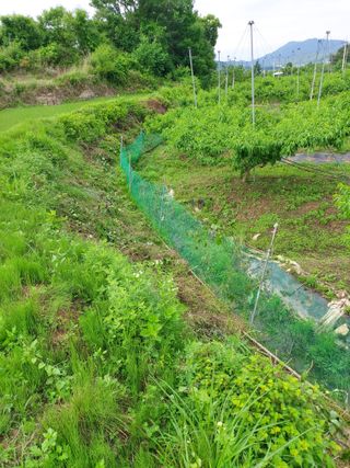ahnda님의 자유주제 · 자유게시판 작성글 사진