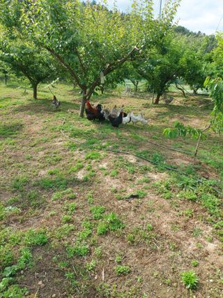 ahnda님의 자유주제 · 자유게시판 작성글 사진