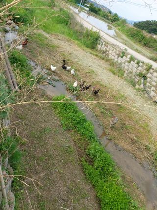 ahnda님의 자유주제 · 자유게시판 작성글 사진