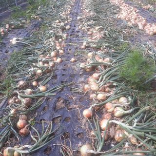 알 수 없음님의 작성글 사진