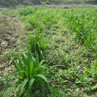 루이스장님의 자유주제 · 자유게시판 작성글 사진