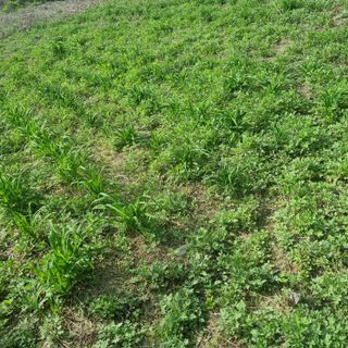 루이스장님의 자유주제 · 자유게시판 작성글 사진