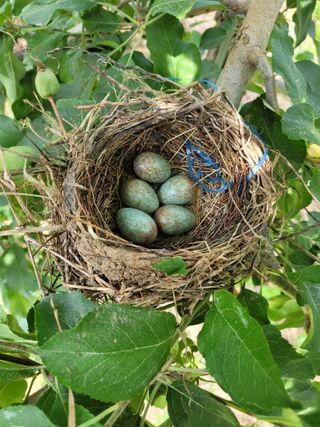 이선일님의 자유주제 · 자유게시판 작성글 사진