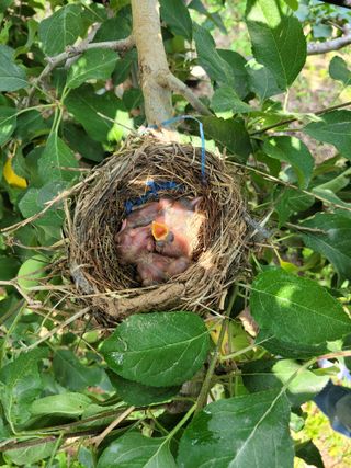 이선일님의 자유주제 · 자유게시판 작성글 사진