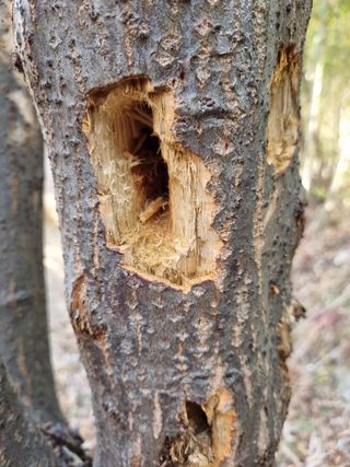서길도님의 기타작물 · 병해충상담 작성글 사진