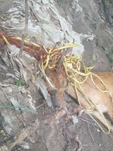 팜모닝 자유주제·자유게시판 게시글 이미지