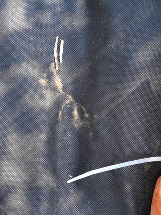 솜리아재님의 자유주제 · 자유게시판 작성글 사진