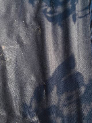 솜리아재님의 자유주제 · 자유게시판 작성글 사진