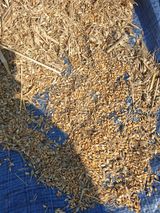 팜모닝 기타작물·자유게시판 게시글 이미지